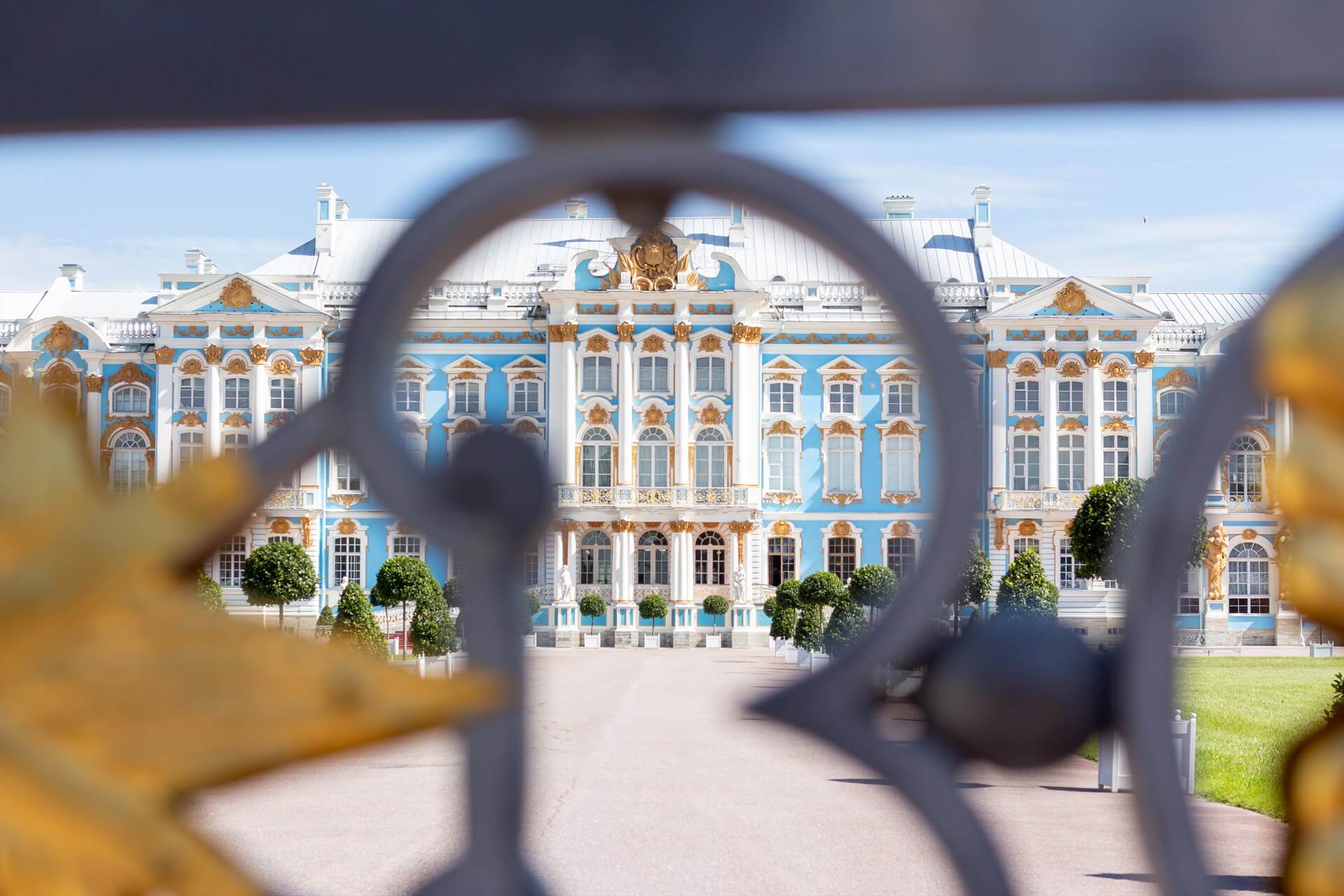 Северная столица, 6 дней