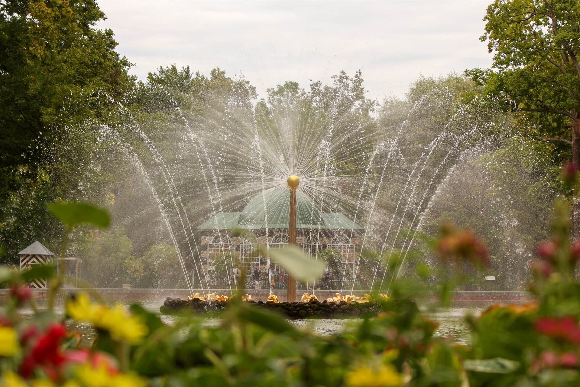 Белые ночи в Санкт-Петербурге, 5 дней