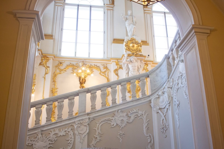 Четыре грани летнего Петербурга, 5 дней