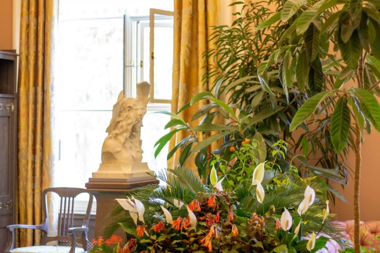 Весенний Петербург, 8 Марта, 4 дня