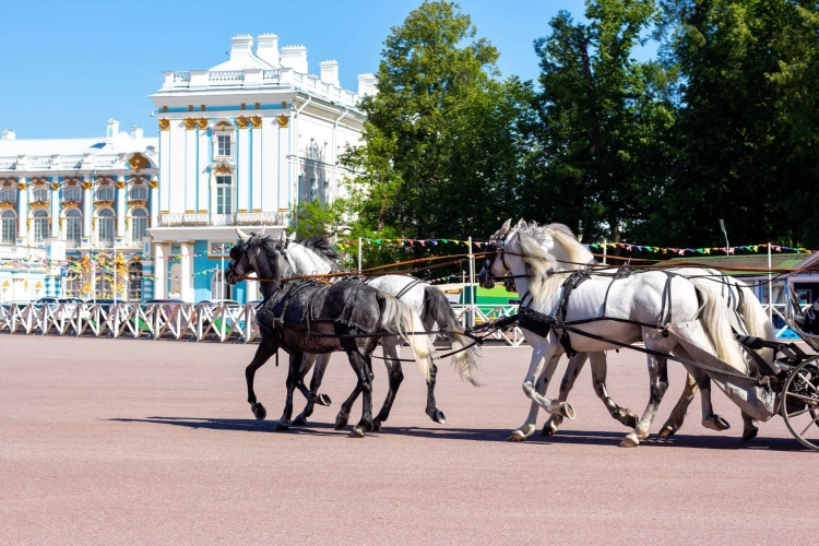 Парадные резиденции дома Романовых, тур на 6 дней