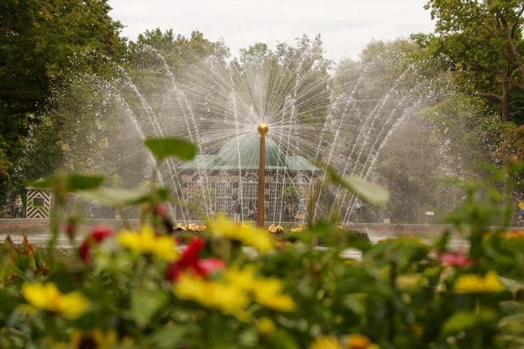 Экскурсия в Петергоф на закрытие фонтанов "Петергофская феерия"