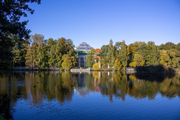 Петербург для Вас, тур на любое количество дней