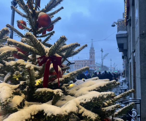 Петербурга зимняя палитра, 3 дня