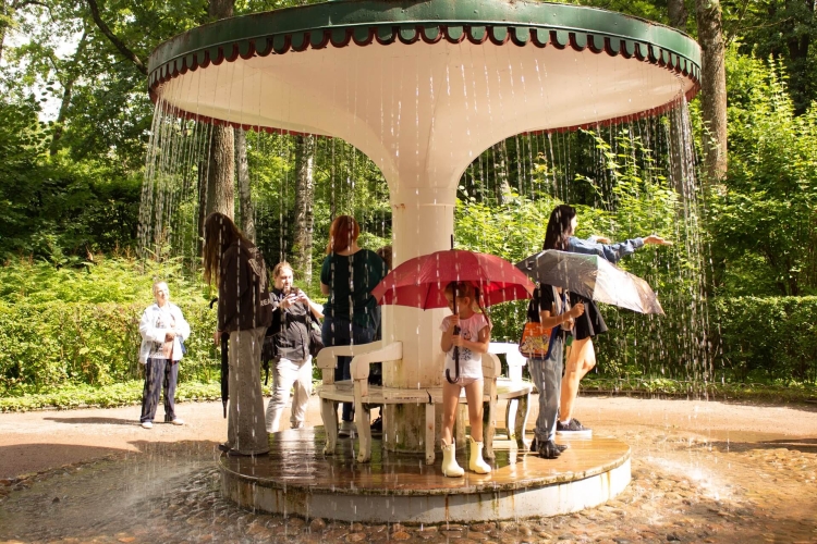 Экскурсия в Петергоф: Нижний парк + «Метеор»