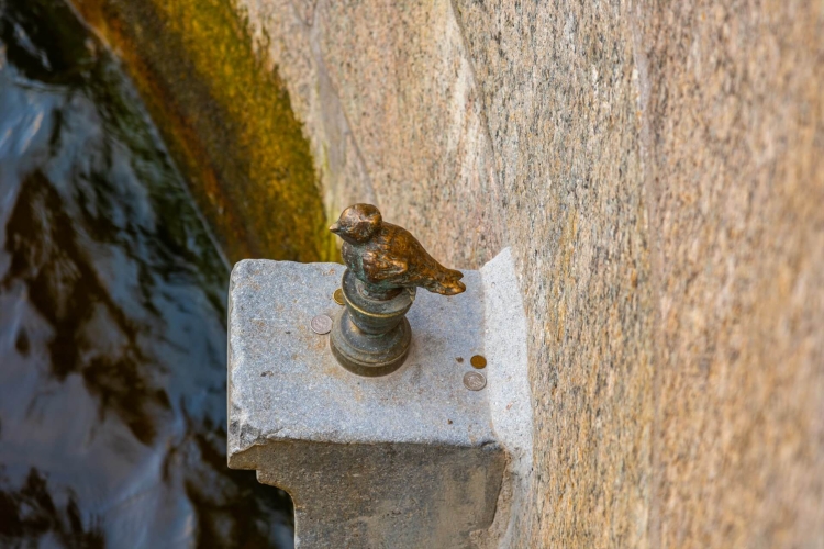 Город желаний (автобусная экскурсия для школьных групп)