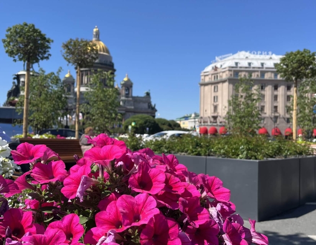 В Петербург на выходные, 3 дня