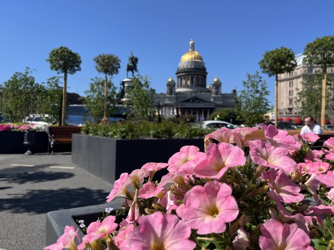 Подарите любимым праздник в Петербурге, тур на 3 дня