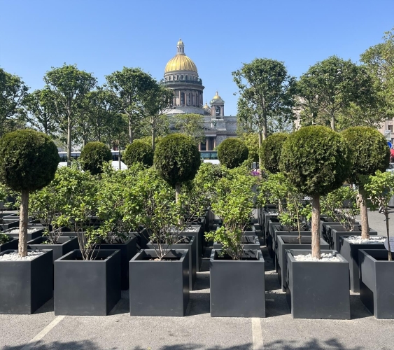 Летний Санкт-Петербург, тур на 5 дней