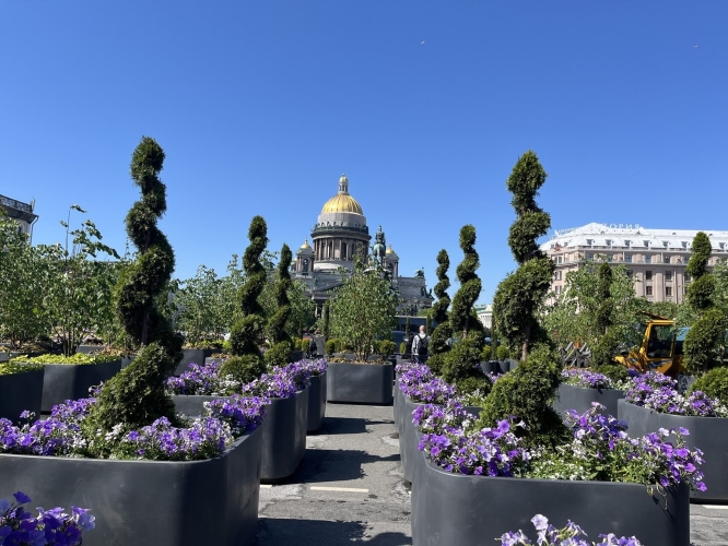 Четыре грани летнего Петербурга, 5 дней