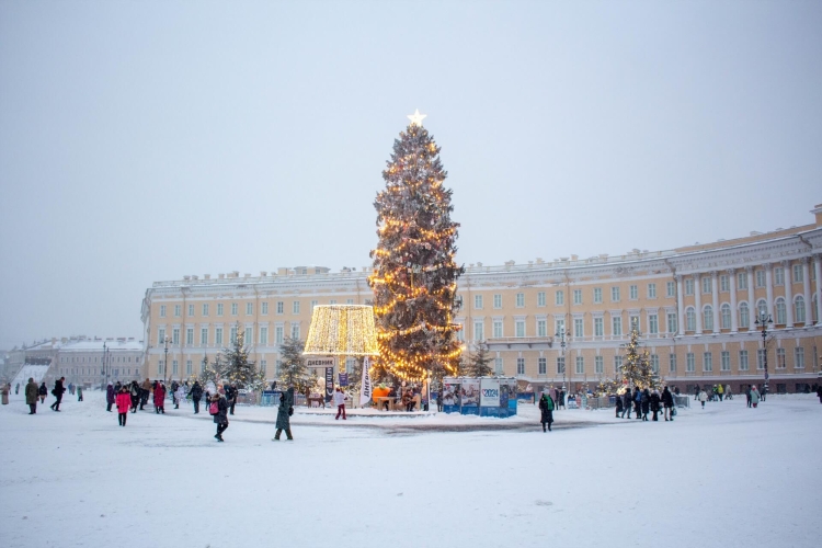 Новогодняя обзорная экскурсия по Петербургу (для школьных групп)