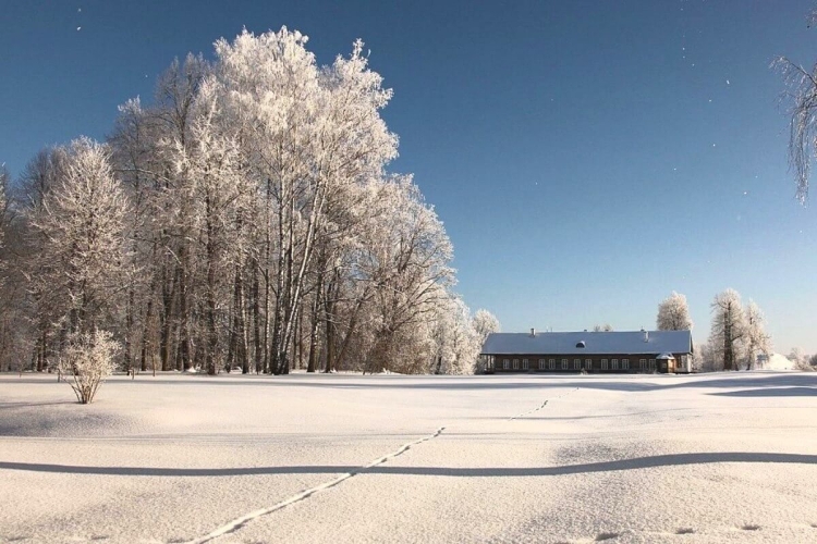 Рождественский Петербург + Псков – Печоры – Пушкинские Горы
