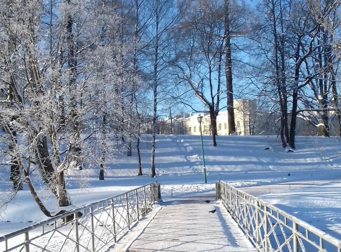 Новогодние чудеса на берегах Невы, 3 дня (для школьных групп)