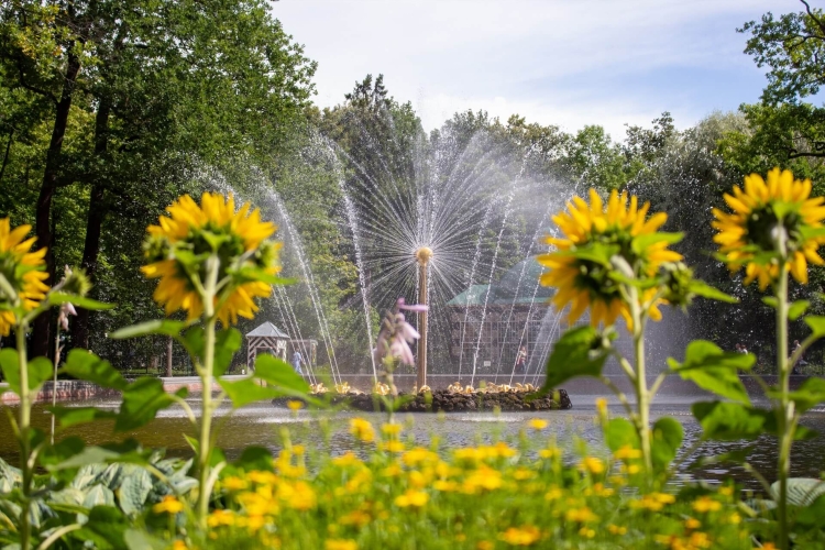 Экскурсия в Петергоф: Нижний парк + «Метеор»