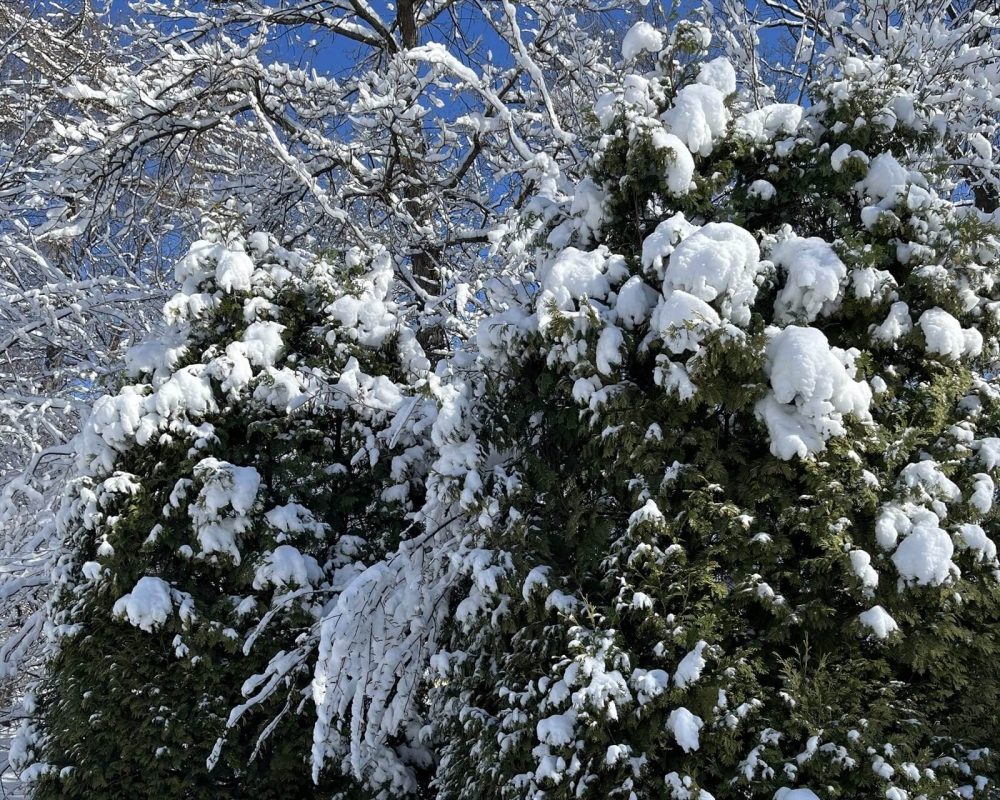 Экскурсия в русскую деревню «Шуваловка» (для школьных групп)