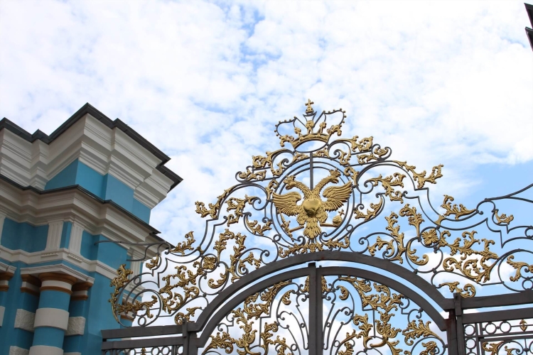 Северная столица, 5 дней